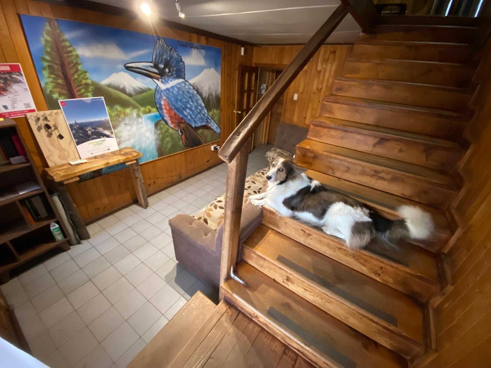 Hosteria Futaleufu Villa Kültér fotó